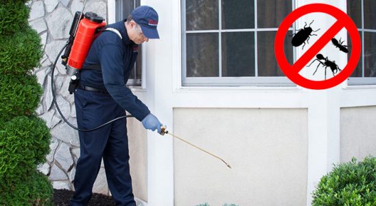 Feke Kemirgen İlaçlama böcek ilaçlama ve haşere kontrolü — ilaclama-tr.com